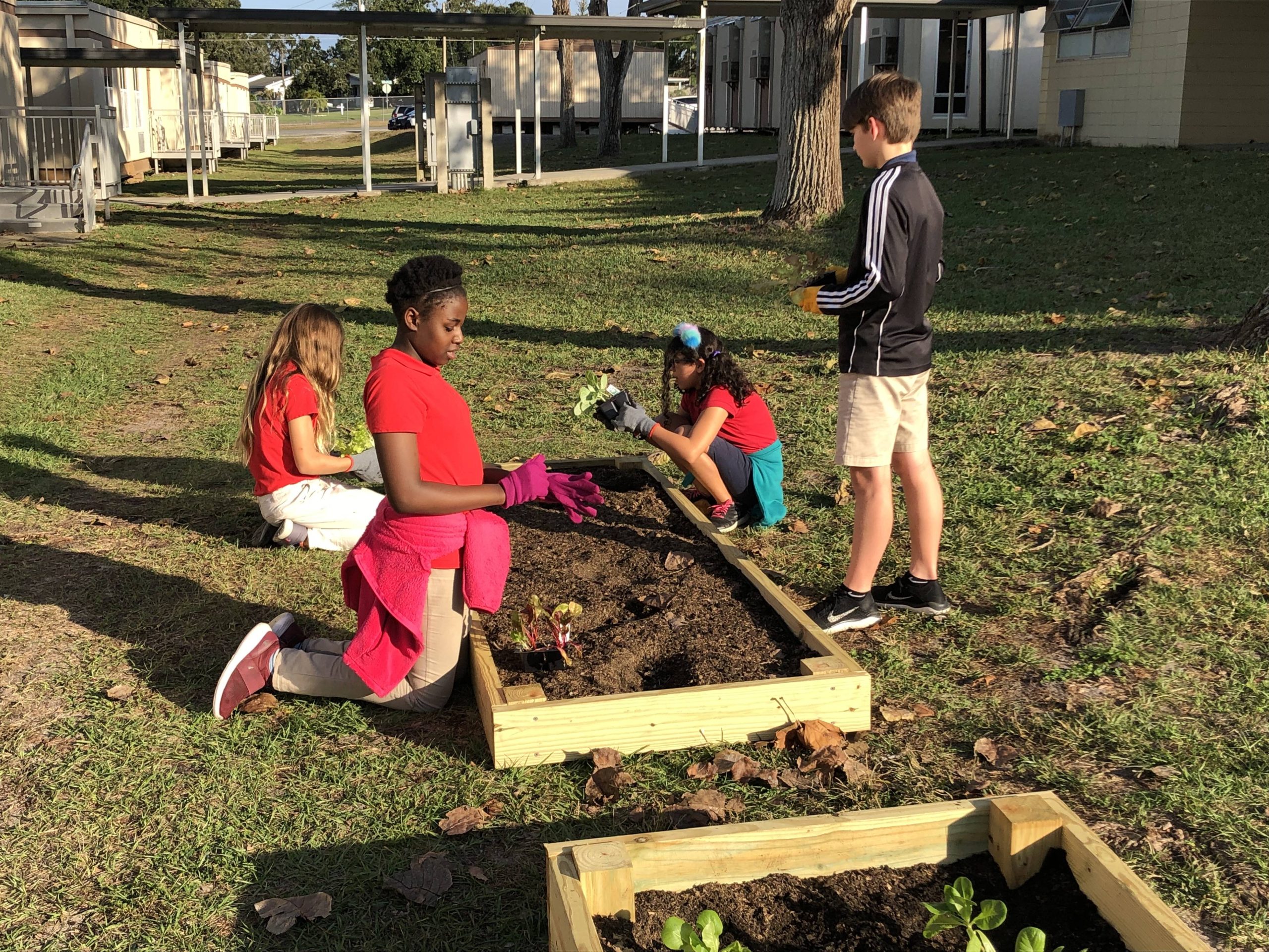 Beverly Shores Elementary School Garden