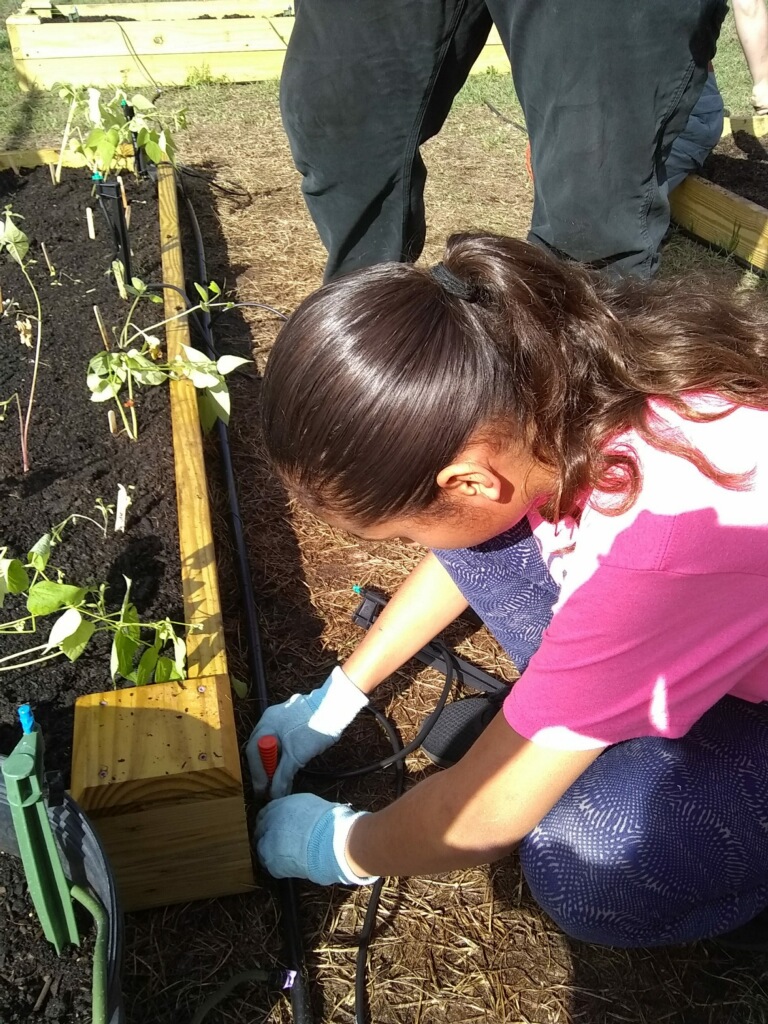 Mascotte Charter School Garden