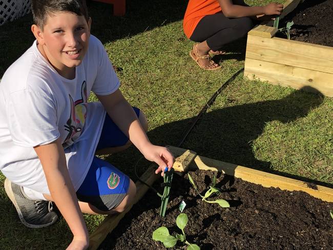 Tavares Elementary School Garden