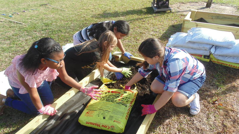 Mascotte Charter School Garden