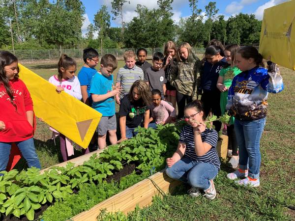 Mascotte Charter School Garden